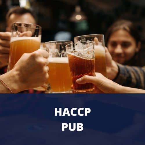 Manuale HACCP Pub